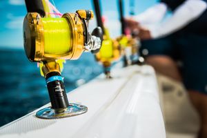 canna da pesca gialla
