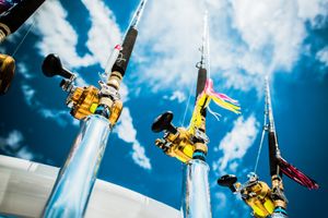 canne da pesca professionali