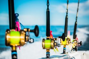 canne da pesca professionali