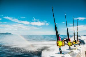 canne da pesca professionali