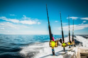 canne da pesca professionali