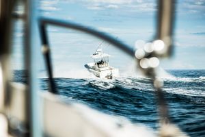 barca sul mare a genova