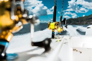 canne da pesca professionali