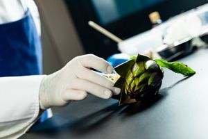 preparazione dello chef