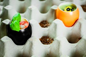 preparazione dello chef