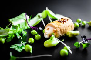 preparazione e impiattamento chef in cucina