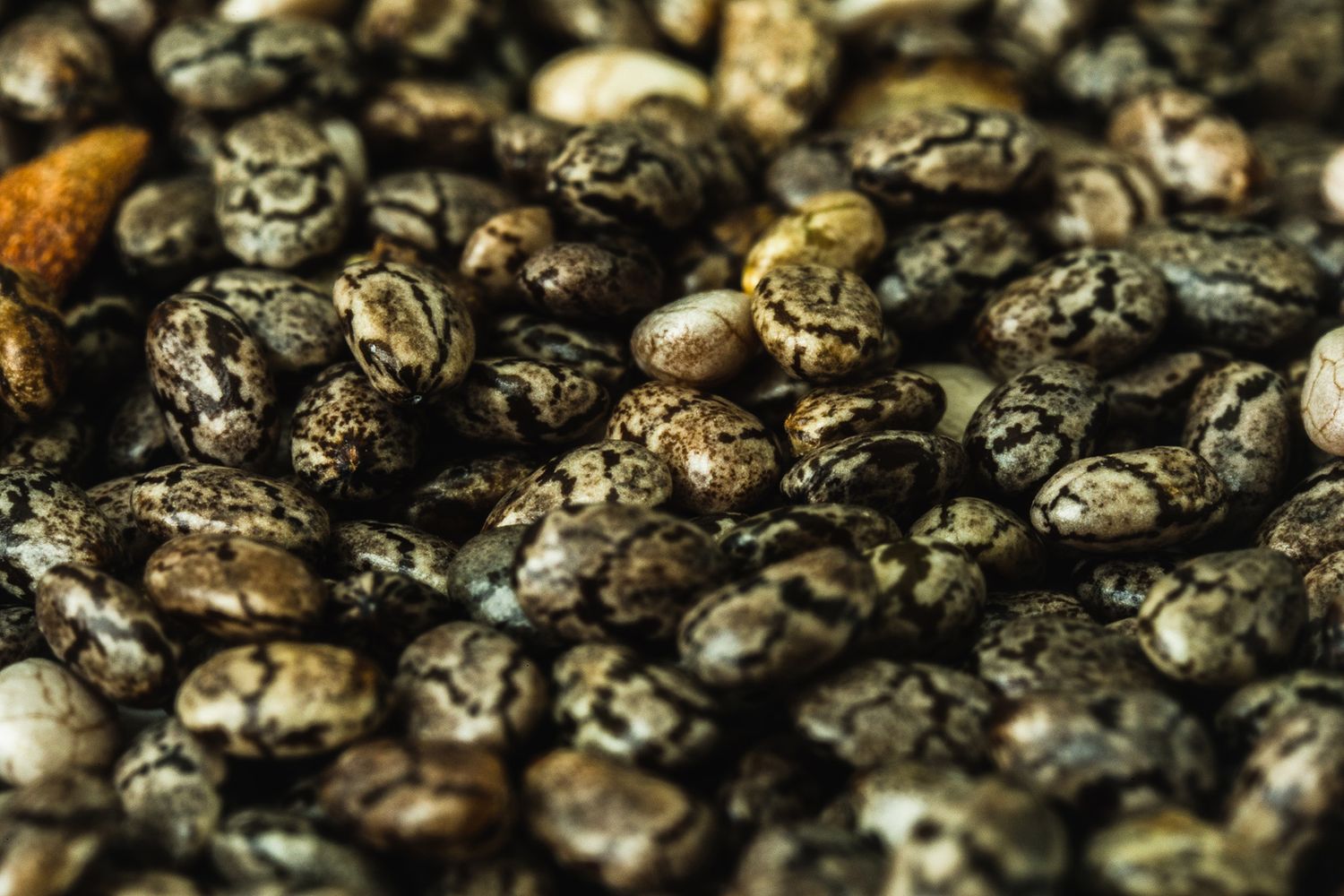 Close-up of dried chia seeds showing textured pattern and natural variations.
