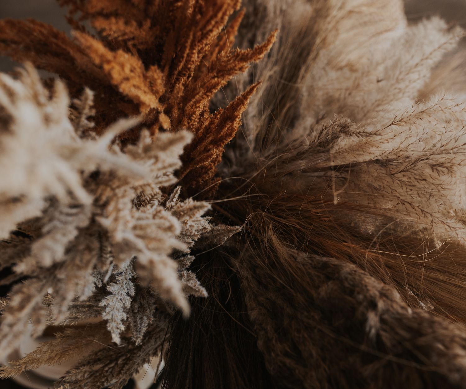 Closeup of dried pampas grass and wheat stalks in neutral earth tones creating a textured botanical arrangement.