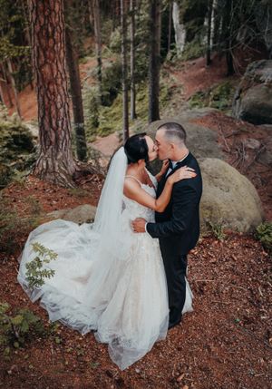 Wedding couple sharing intimate moment in forest with tall pine trees.