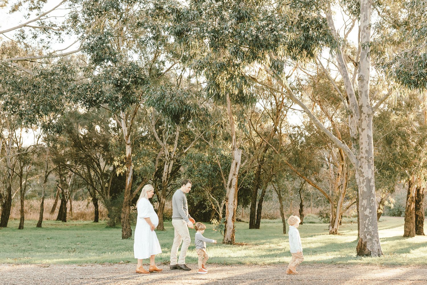 A serene maternity photography session in a eucalyptus grove with soft natural lighting.