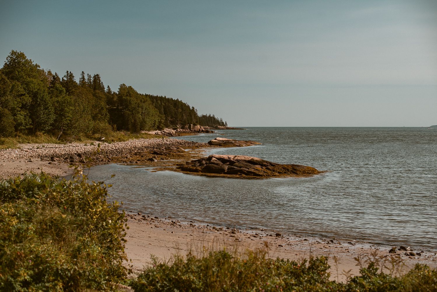 Rocky coastline with evergreen forest meeting a tranquil beach under muted skies.