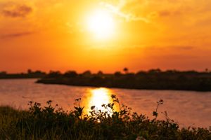 Fiery sunset casts golden reflections across calm water with shoreline vegetation in silhouette.
