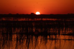Orange sun setting over marsh grasses with reflection in still water.