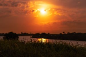 Brilliant orange sunset over wetlands with tall reeds and grasses in dark silhouette.