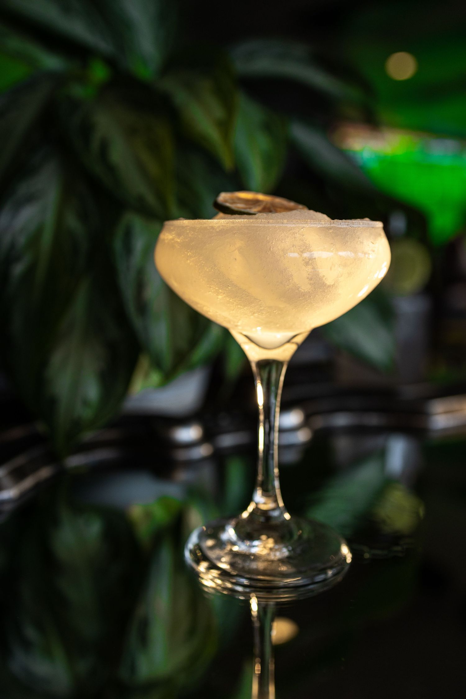 Elegant frosted cocktail glass with citrus garnish against dark leafy background.