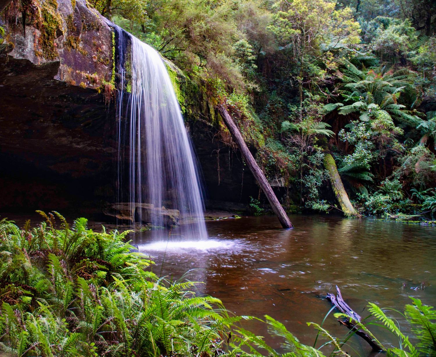 The Otways