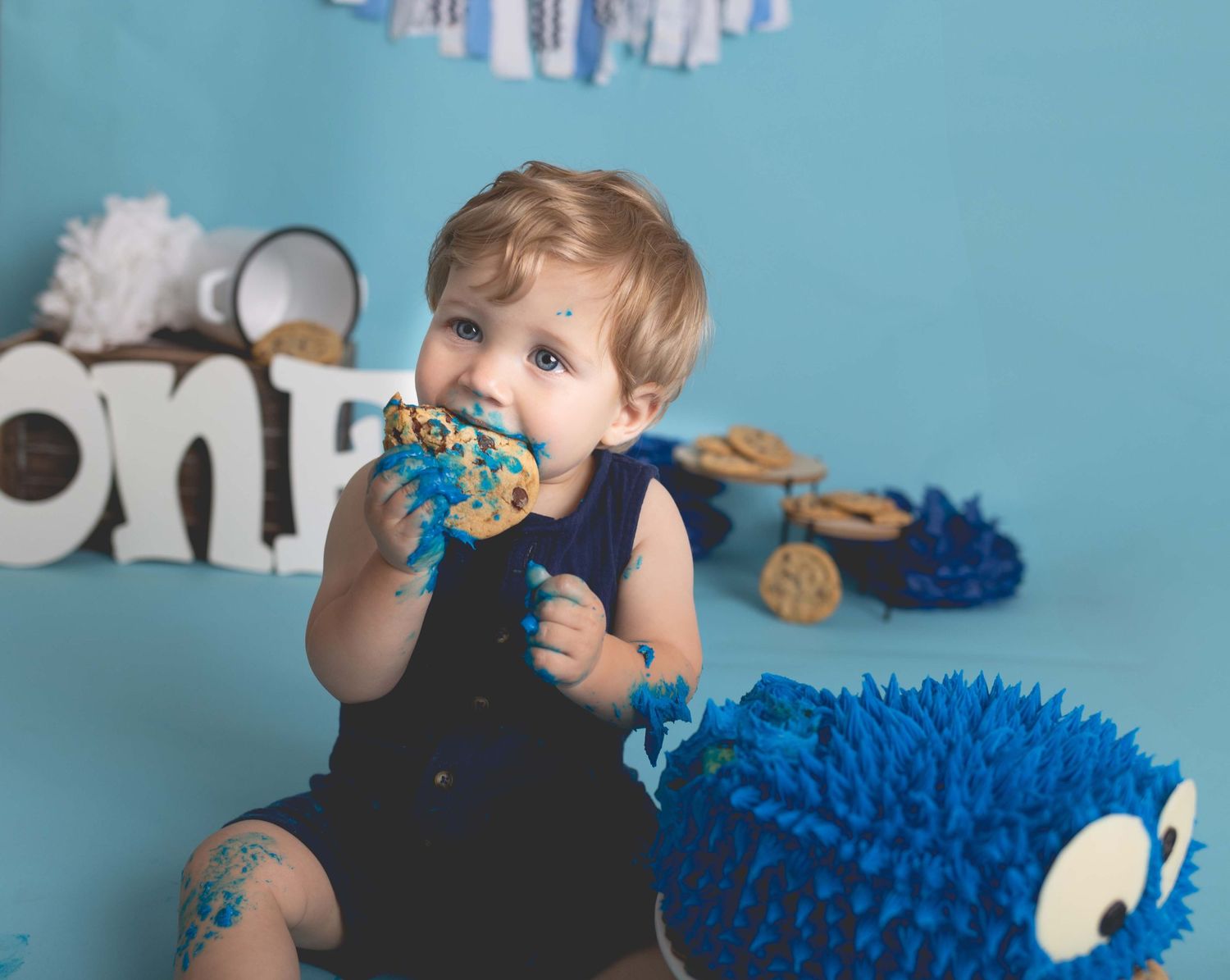 Little boy eating cookie at his cookie monster photoshoot in downtown hartland wi photography studio
