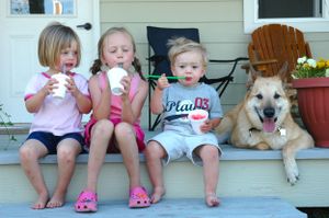 Chinook Dog Intervale Tuckerman with his family