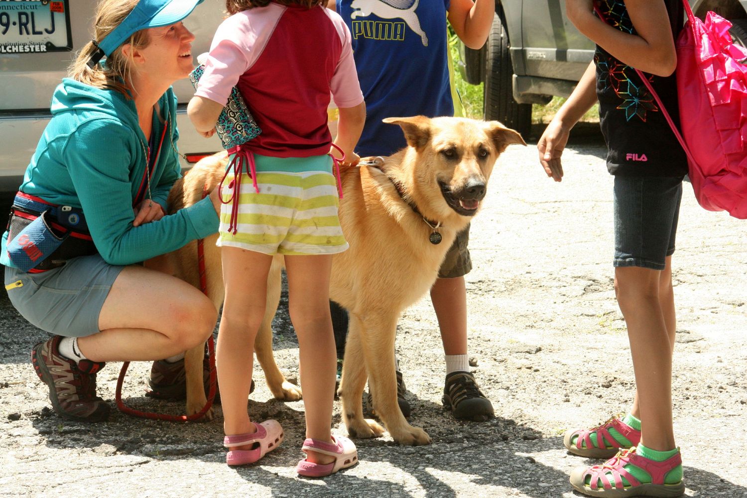 Intervale Home Run (Chinook Dog "Fenway") meets the public