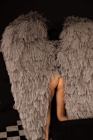 Detailed shot of textured gray feathered wings against dark background.