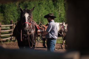 Cowboy in hat adjusting red reins on black and white horse in corral.