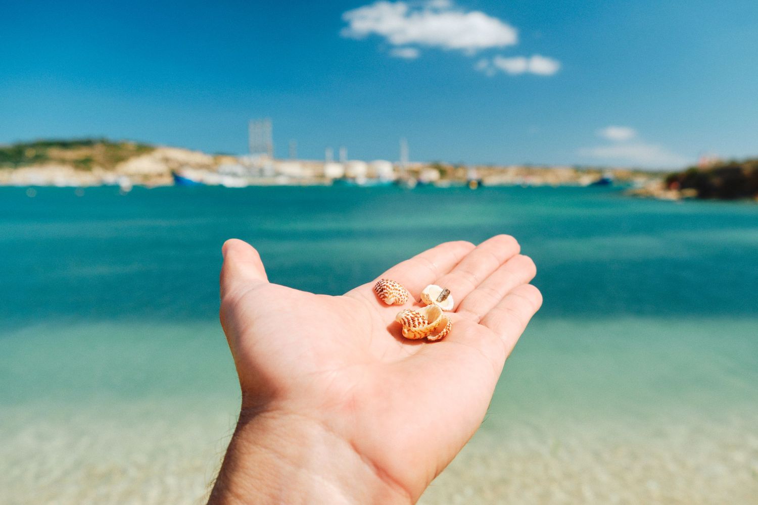 Hand holding small seashells against a turquoise ocean backdrop.
