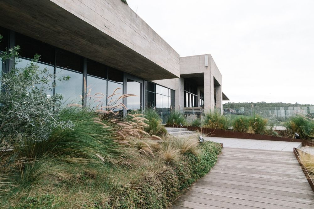 Modern architectural building exterior with landscaped ornamental grasses and wooden deck.