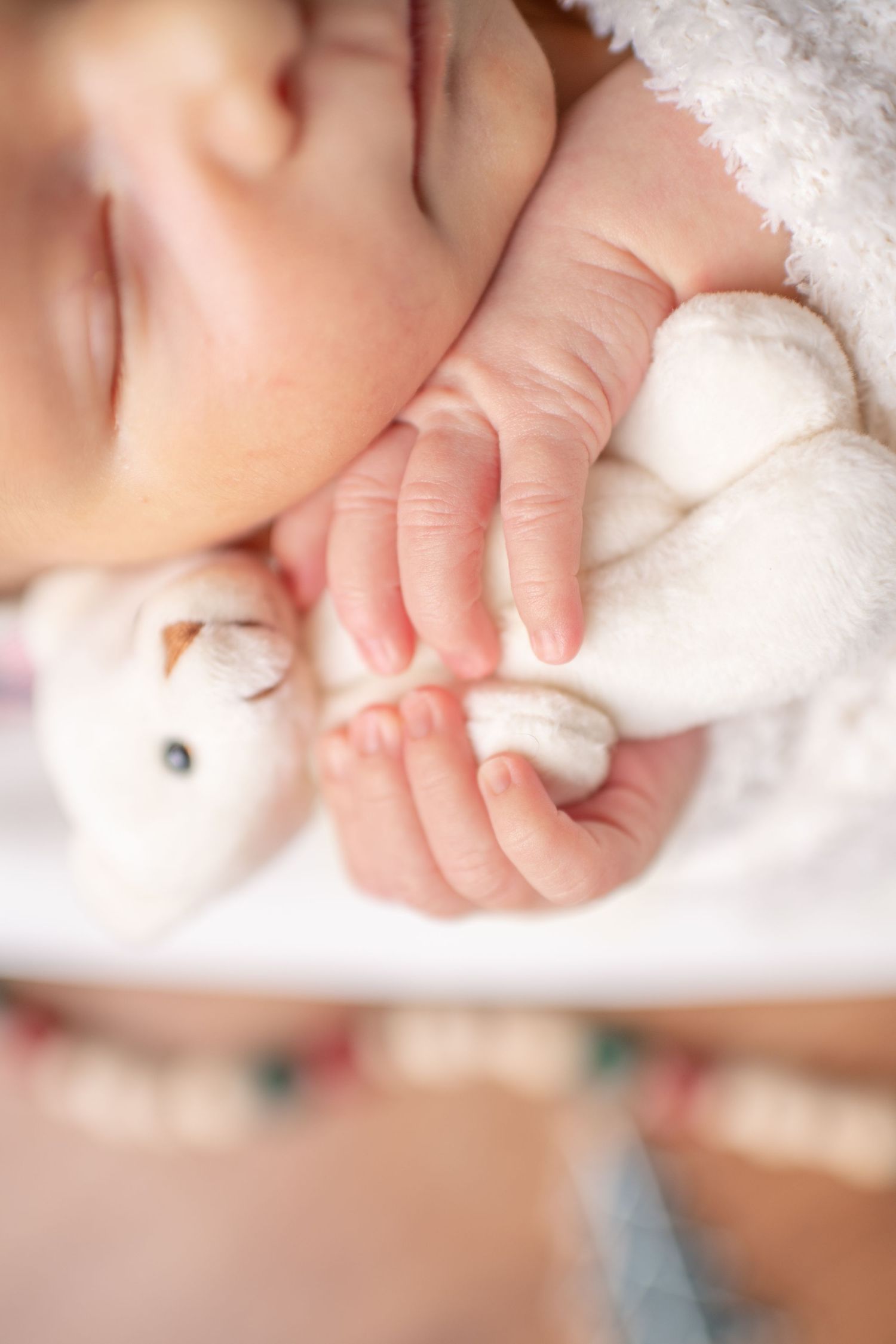 A tiny infant hand grasps a small white teddy bear while wrapped in soft blankets.