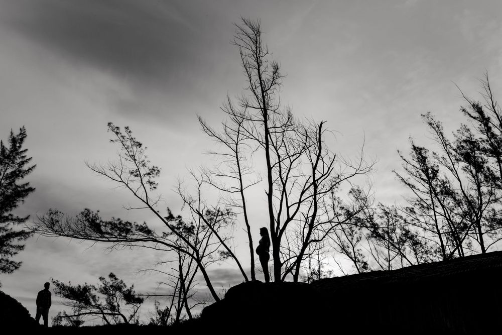 Dramatic silhouette of bare trees against moody sky in black and white.