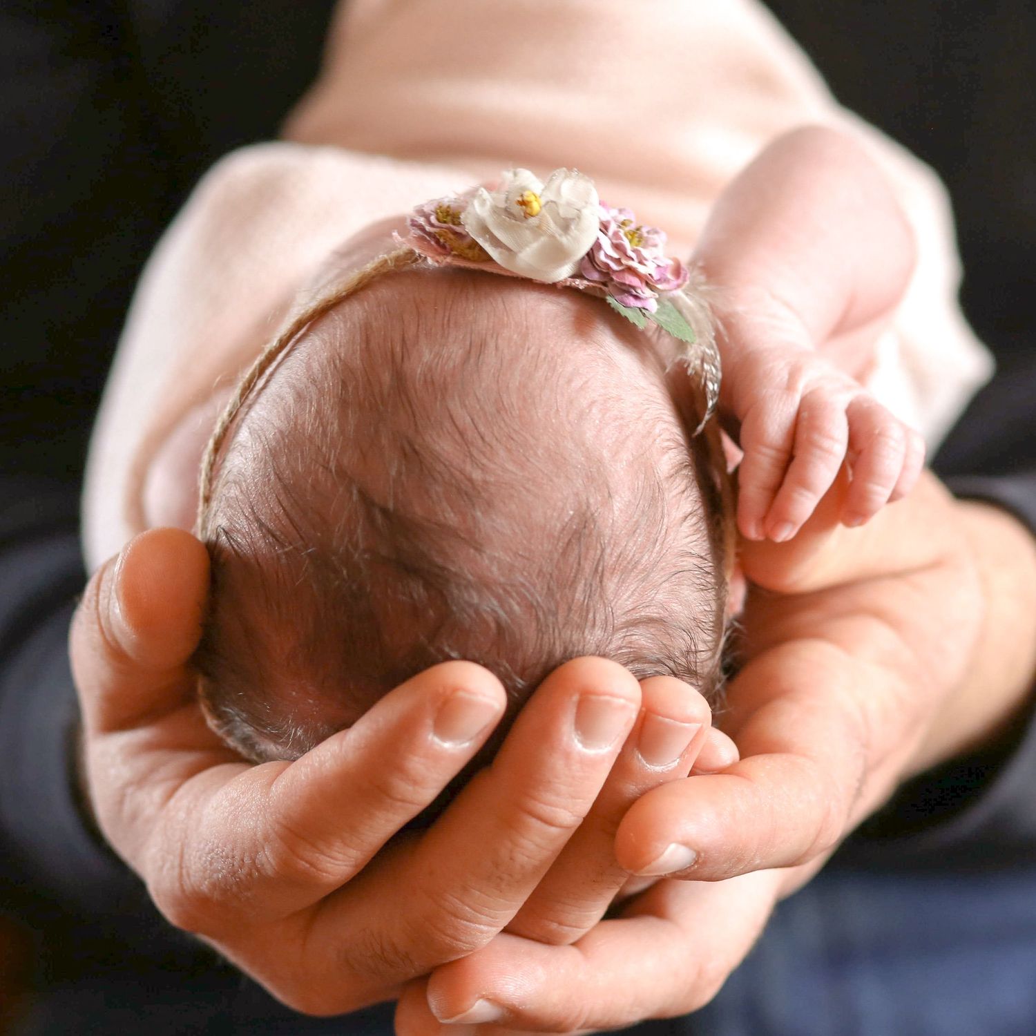 Newborn Sessions