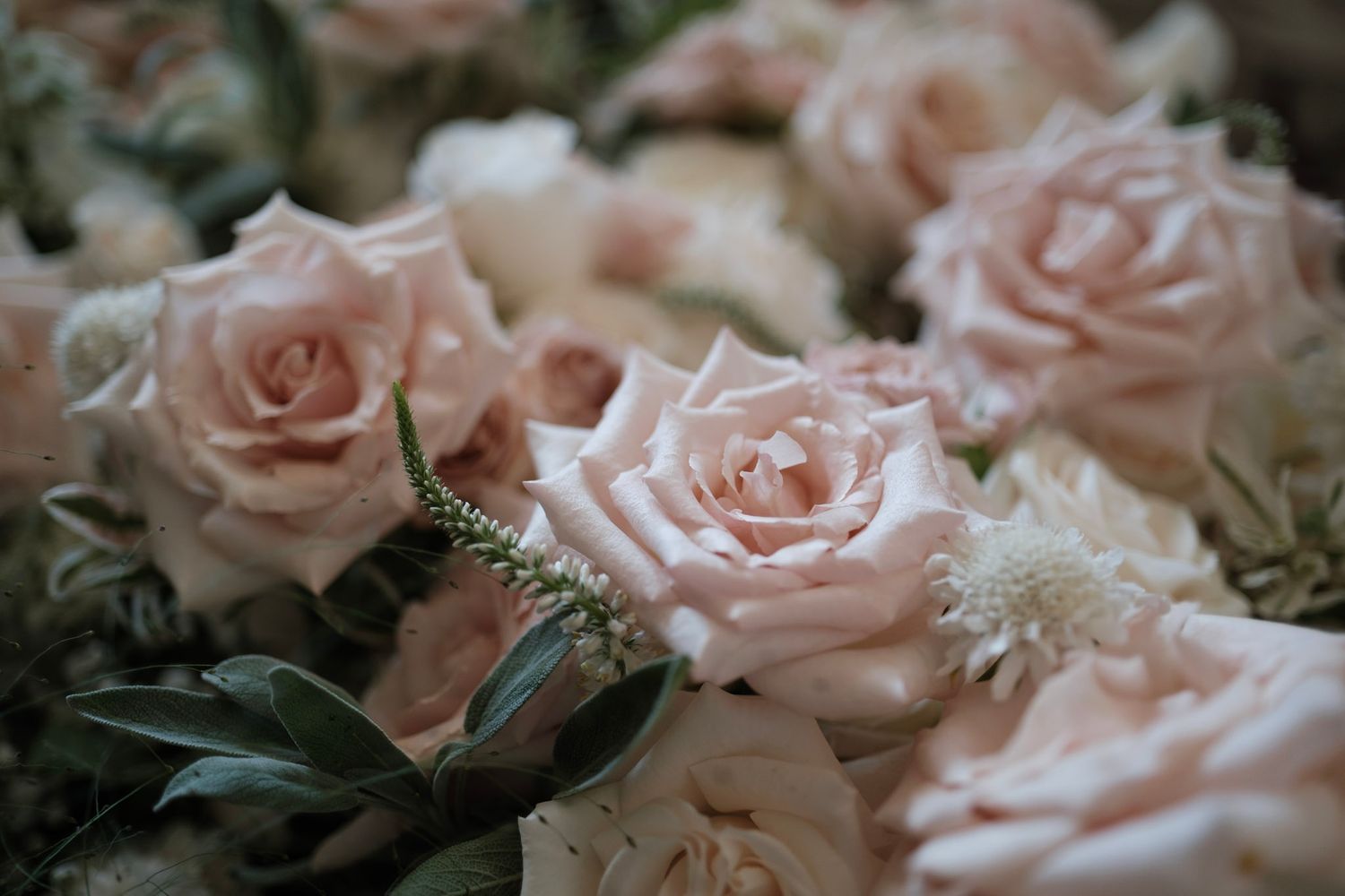 Blush and white rose flower wedding bouquet