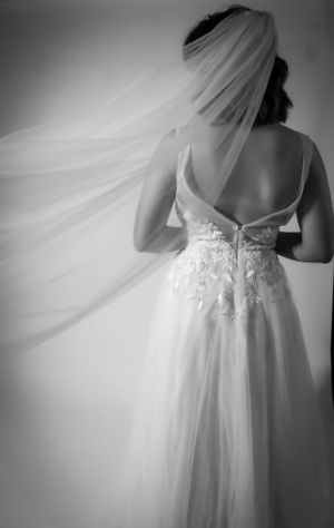 Back view of a wedding dress with delicate lace details and flowing veil in black and white.