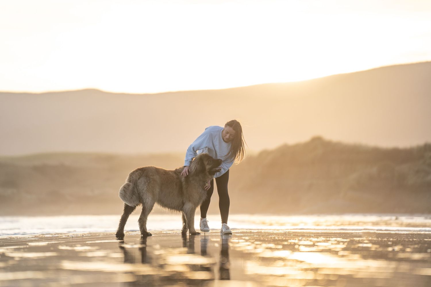 Woman hugging her dog on a reflective beach at golden sunset with misty hills in the background.