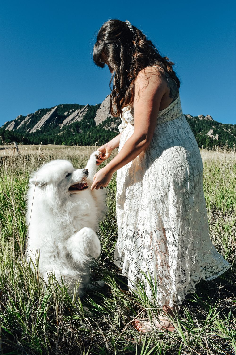 Bride in white lace dress feeding a fluffy white dog in a mountain meadow under a clear blue sky.