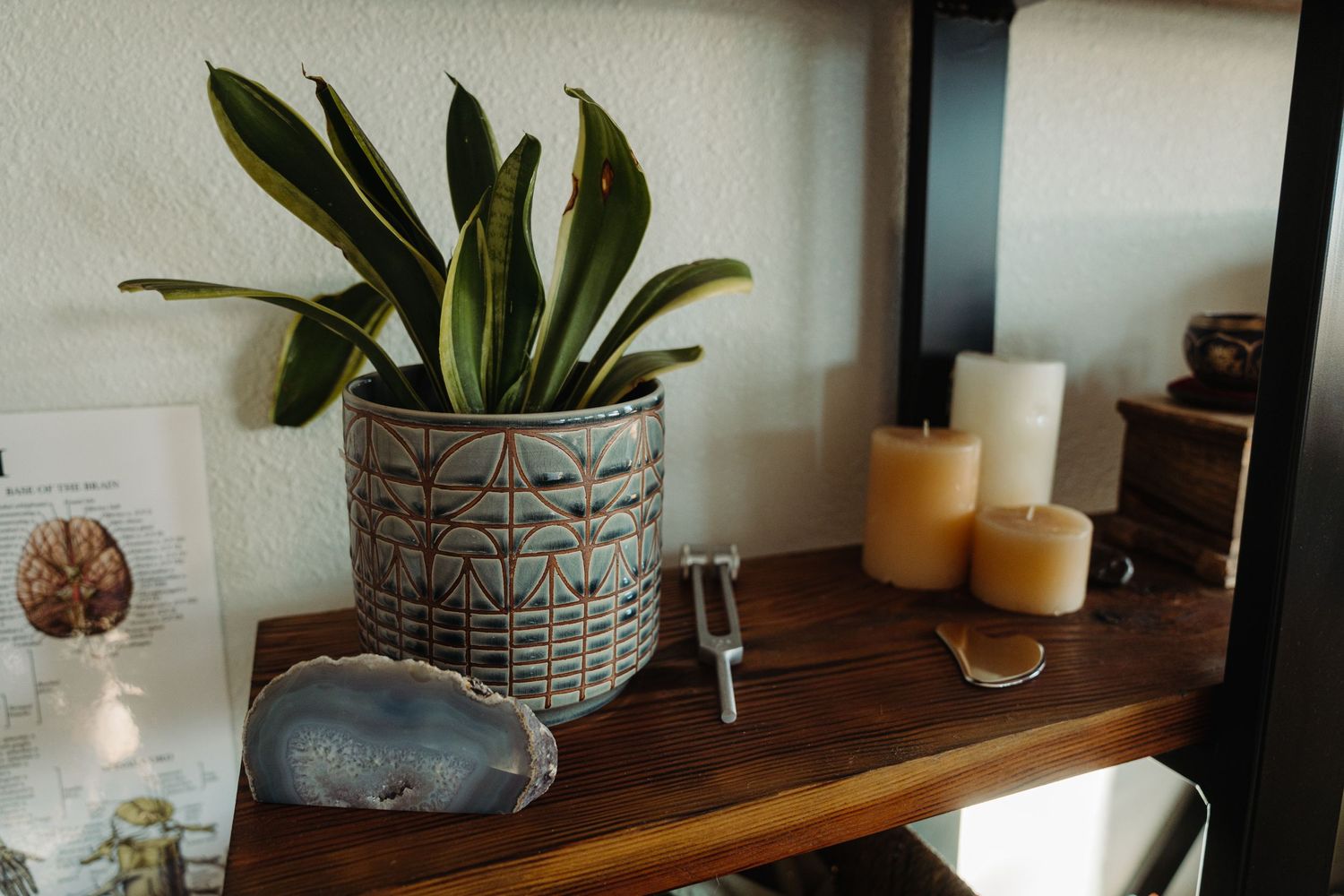 Decorative potted plant and candles arranged on wooden shelf with crystals.