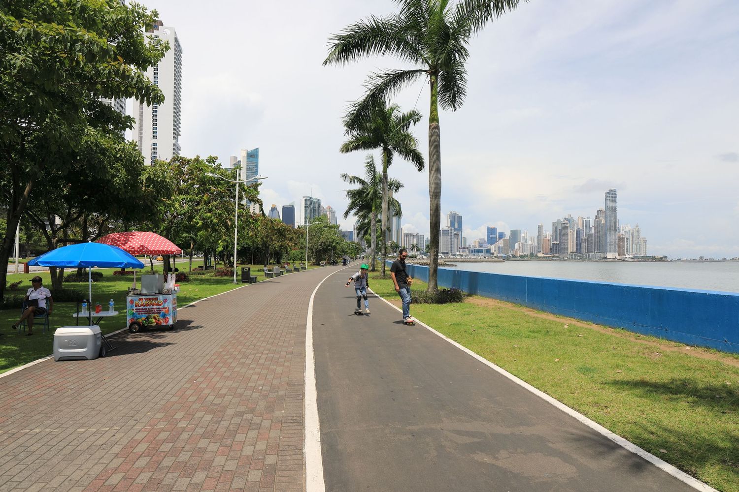 Palm-lined waterfront walkway with bicycle path and city skyline views in Panama.