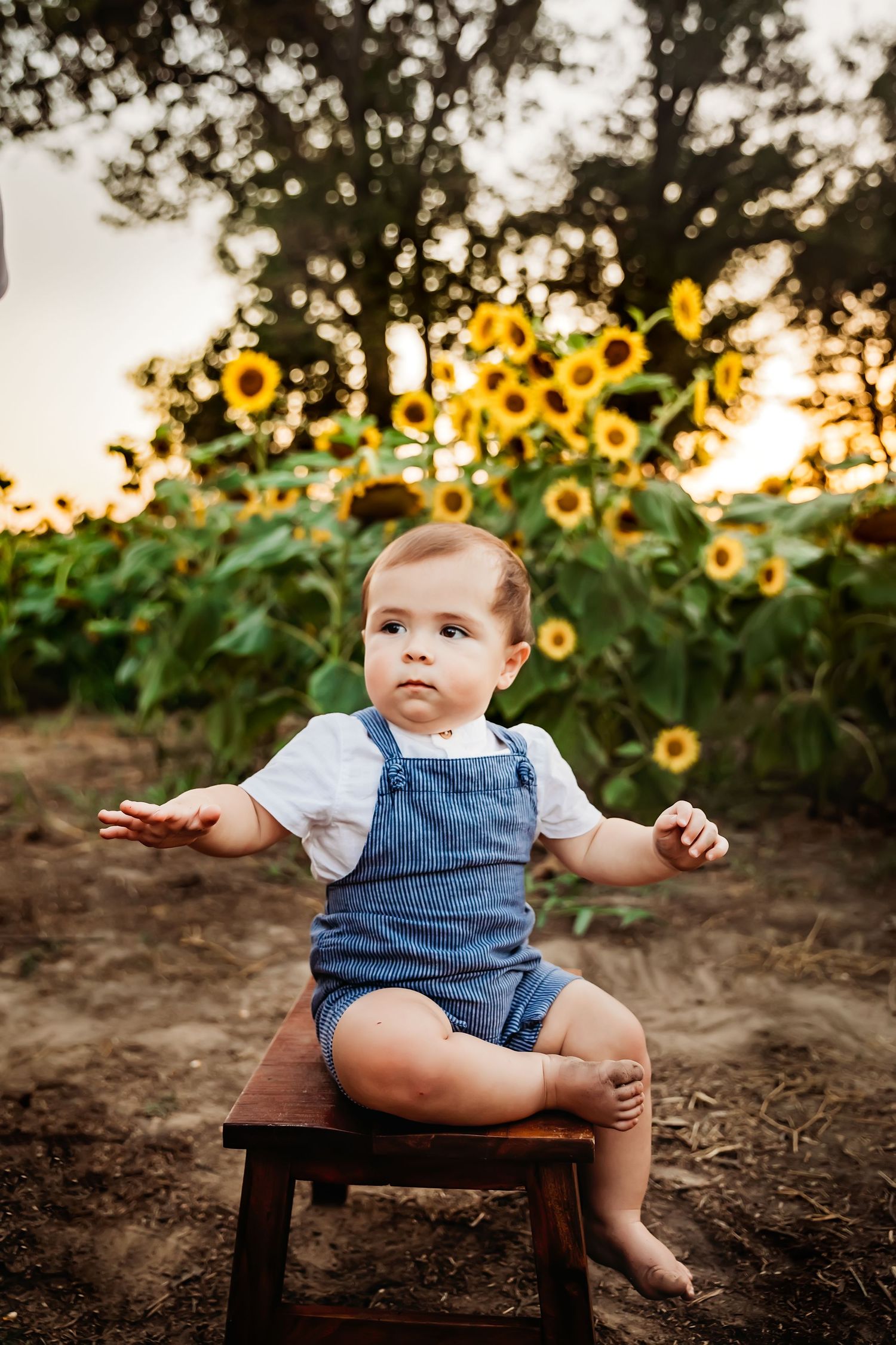 Baby in striped overalls sitting on wooden stool with sunflower garden background.