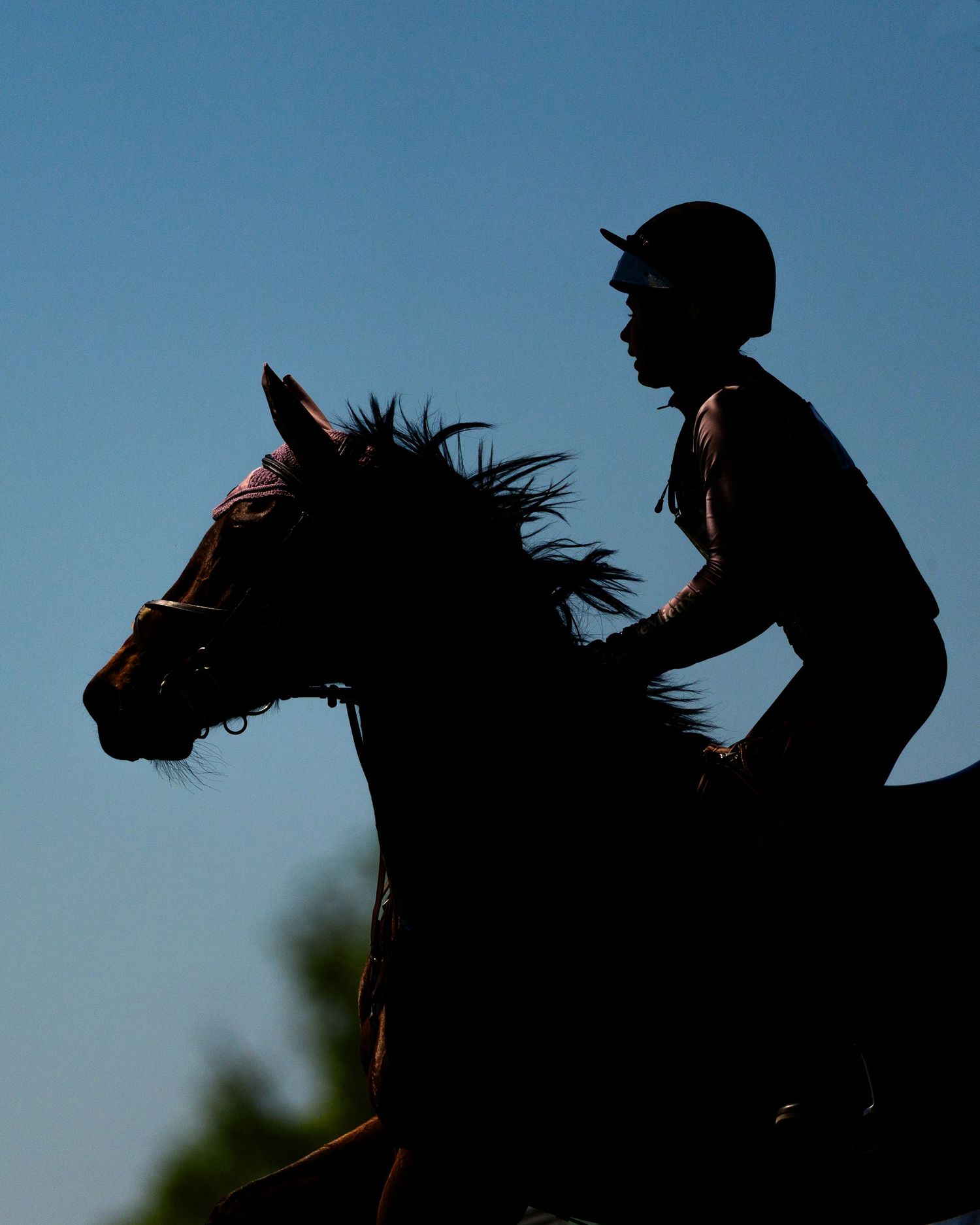 Silhouette of an eventing rider and horse against a clear blue sky backdrop.