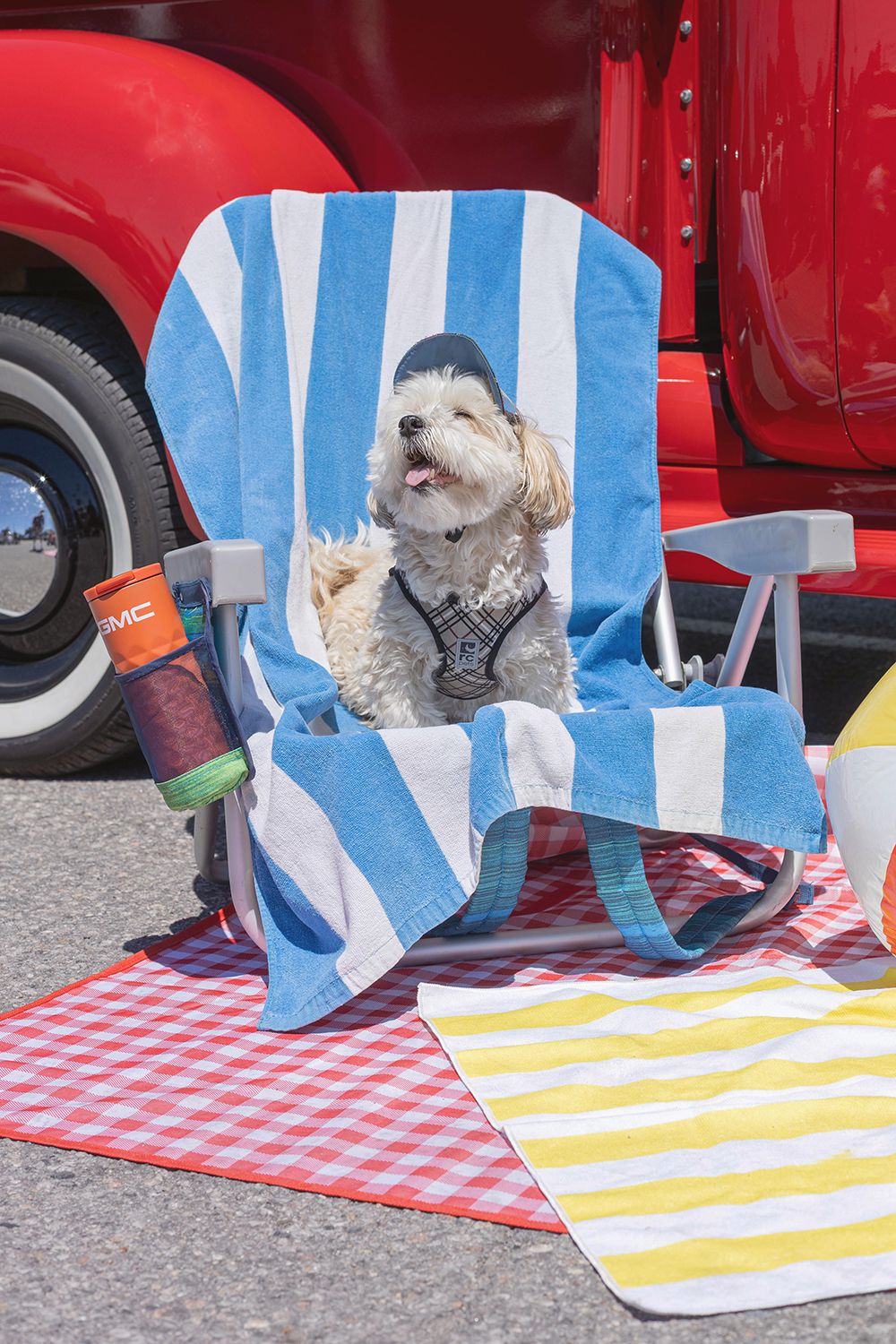 A fluffy white dog sits in a blue striped beach chair on a checkered mat near a vintage red truck.