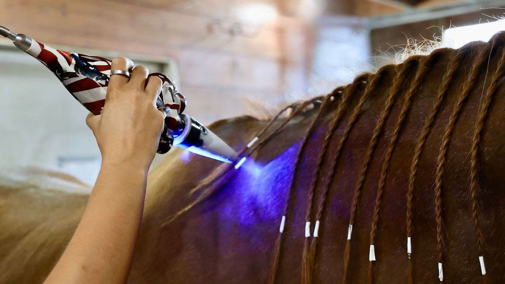 Mobile equine cryotherapy sessions available in Central Iowa.  America Cryo SubZero device.