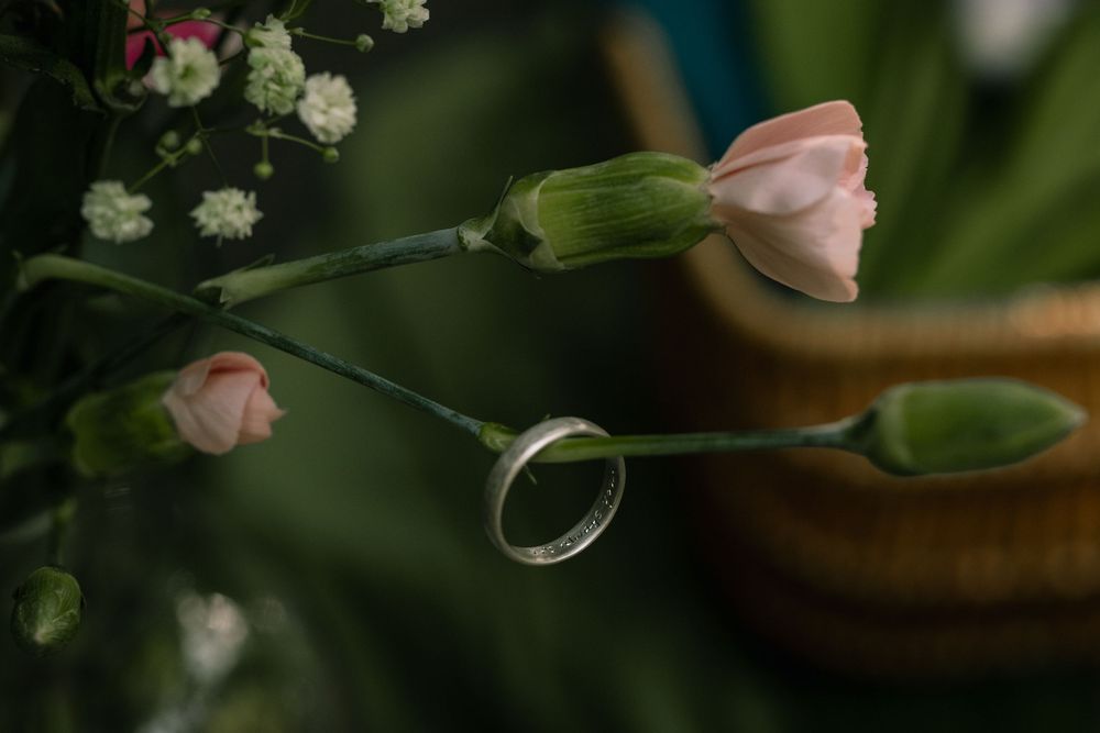 A silver wedding ring hanging on a pink rose stem surrounded by delicate white flowers and greenery.