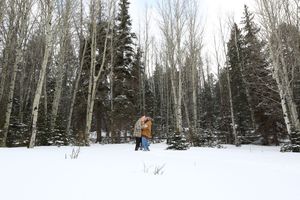 Couple embraces in a snowy clearing surrounded by tall aspen and evergreen trees in a quiet winter forest.