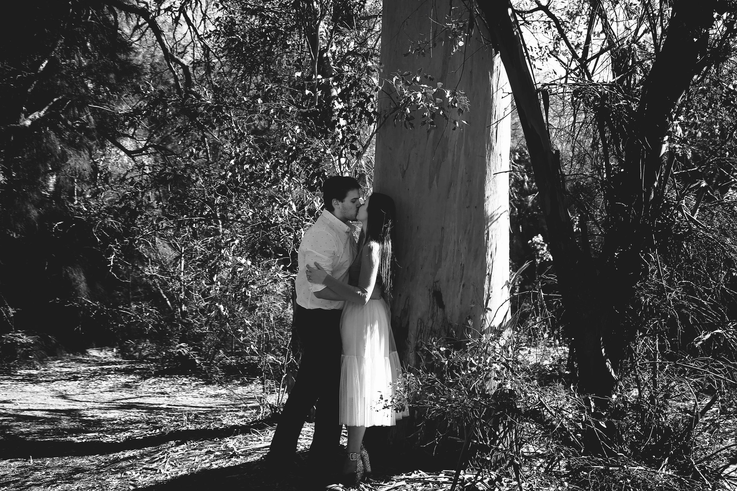 Black and white engagement photo of a couple kissing against a large tree trunk in a shaded wooded park.