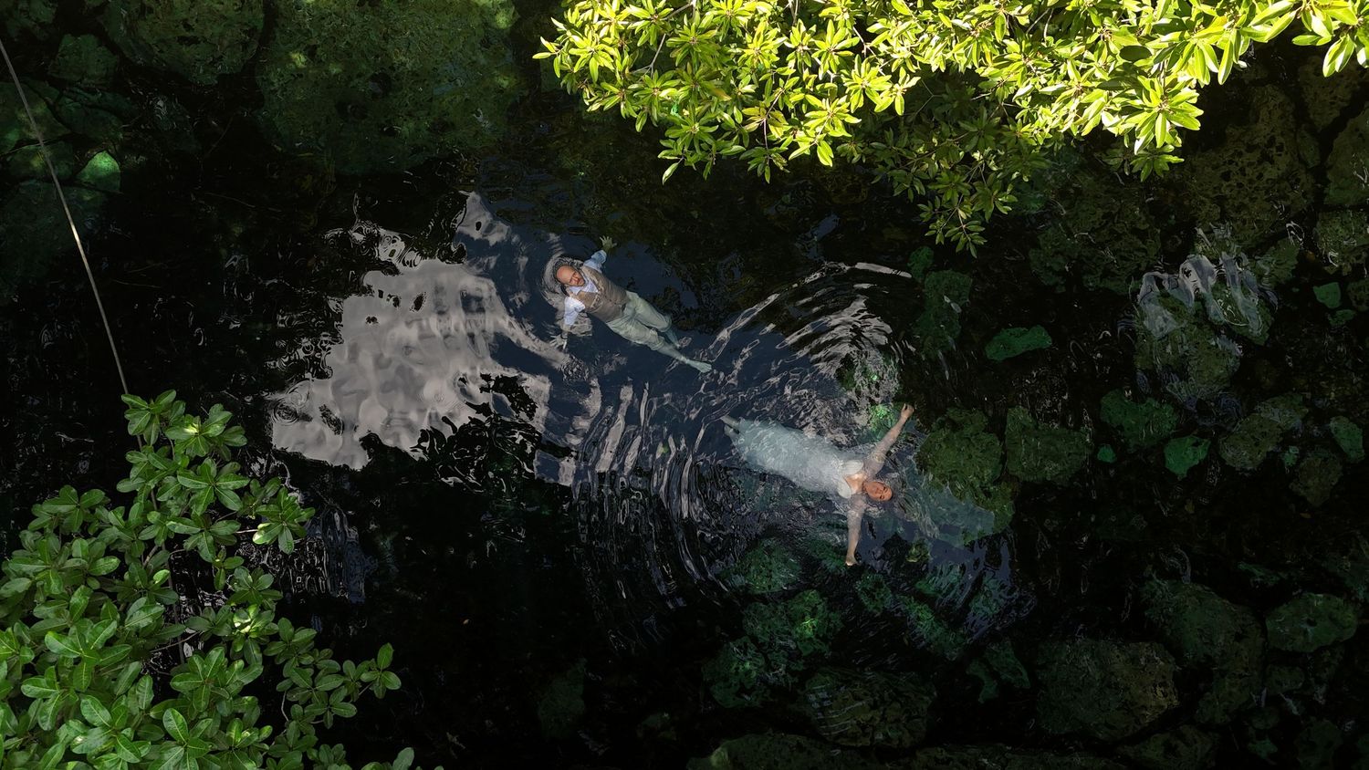 Aerial view of a person swimming in a dark jungle pool surrounded by lush green tropical foliage.