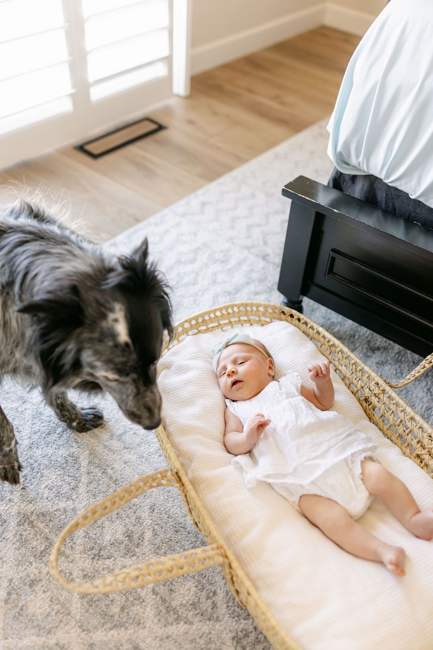 A newborn baby in a white outfit lies in a woven Moses basket while a dark-haired mother gazes lovingly nearby.