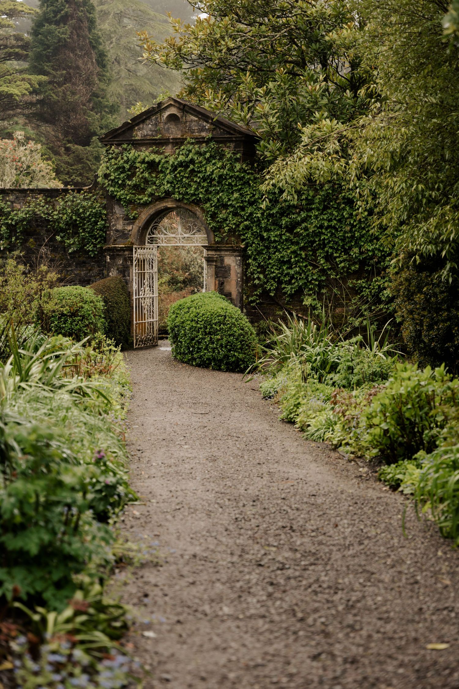 Ivy covered stone archway leads down a gravel garden path lined with lush greenery.