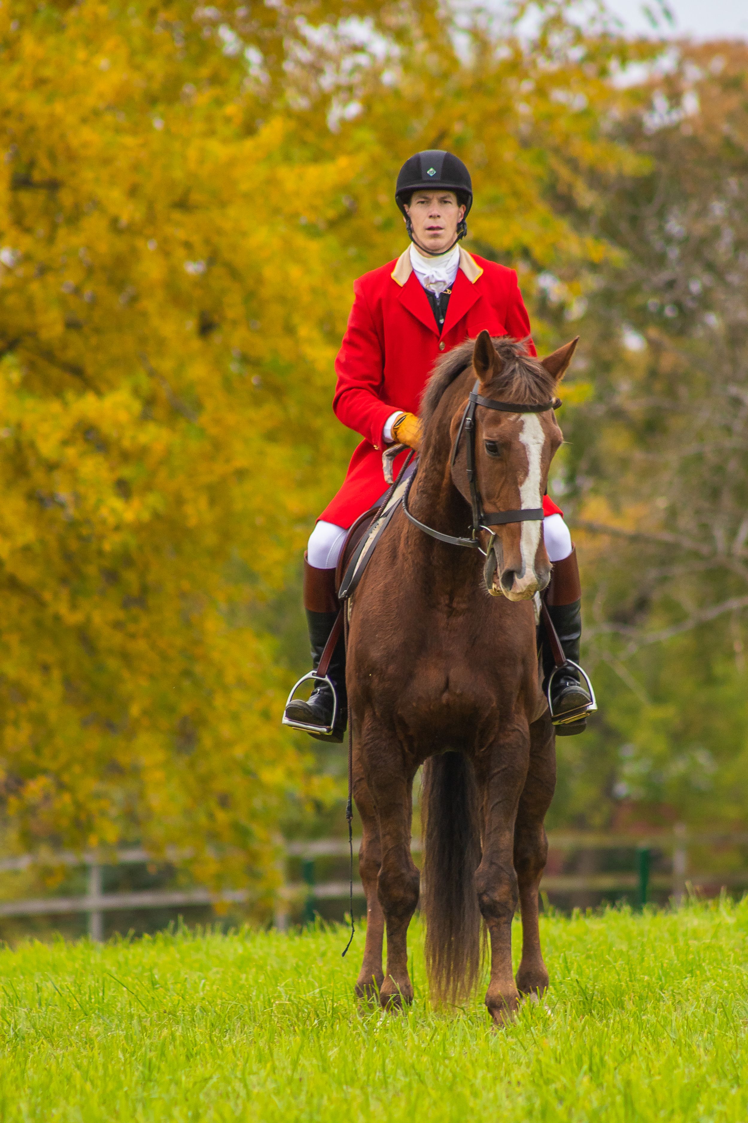fall fox hunt in minnesota