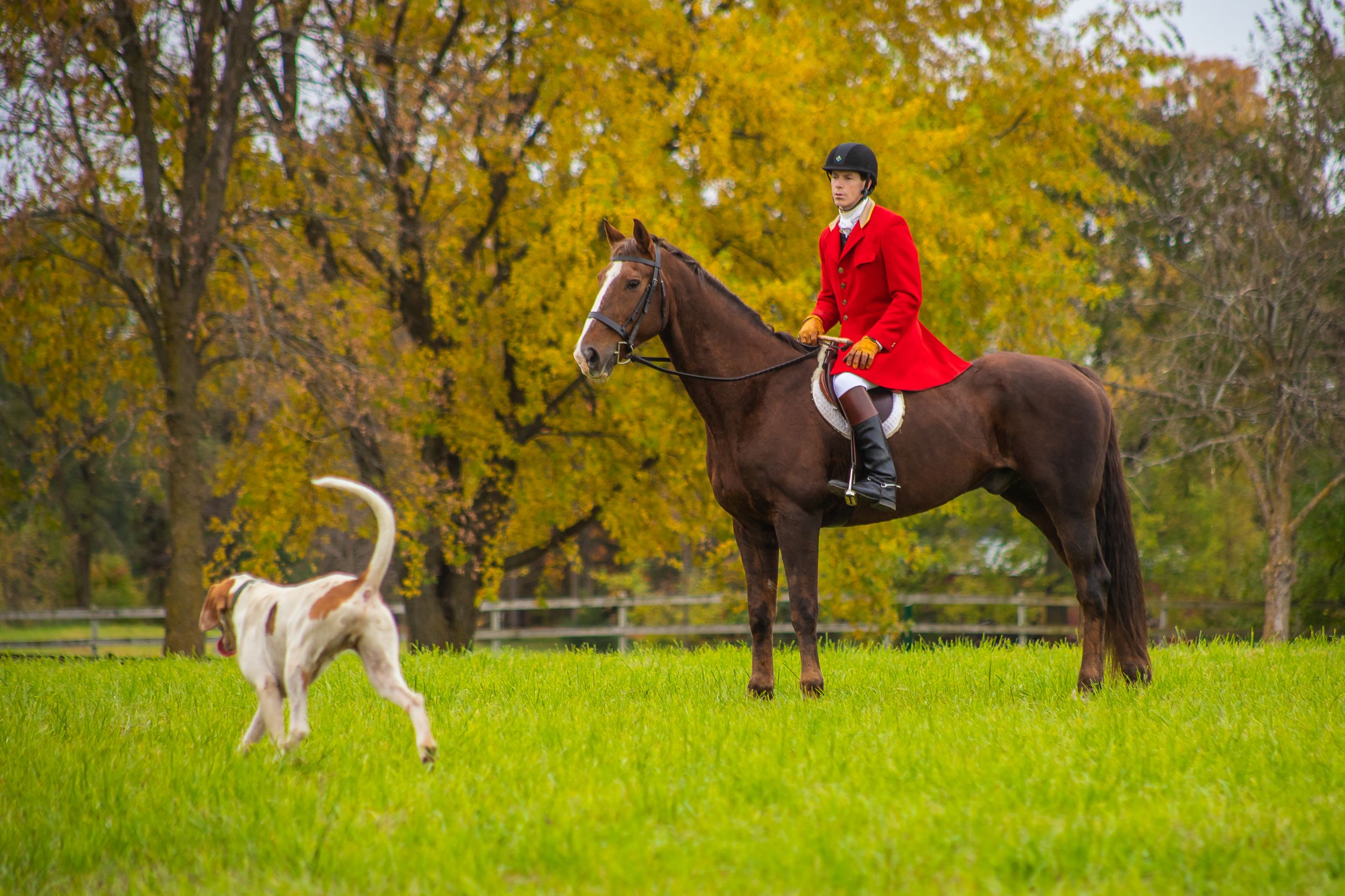 fall fox hunt in minnesota