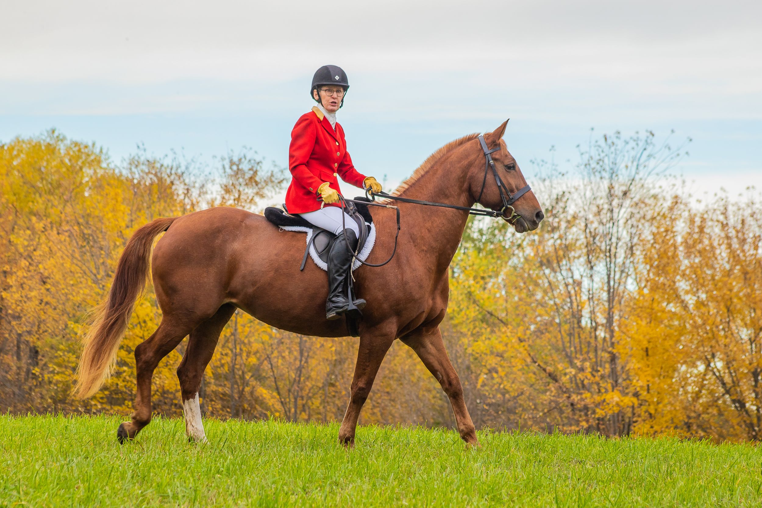 fall fox hunt in minnesota