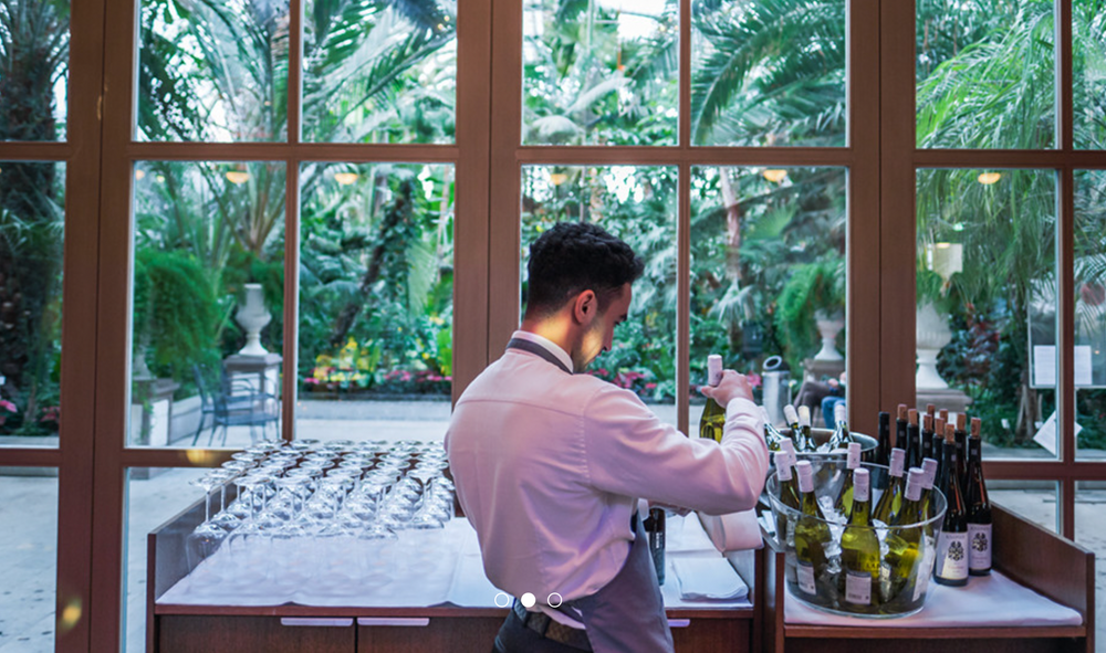 Hochzeitsfotograf Frankfurt, Hochzeitslocations, Hochzeit Palmengarten Frankfurt